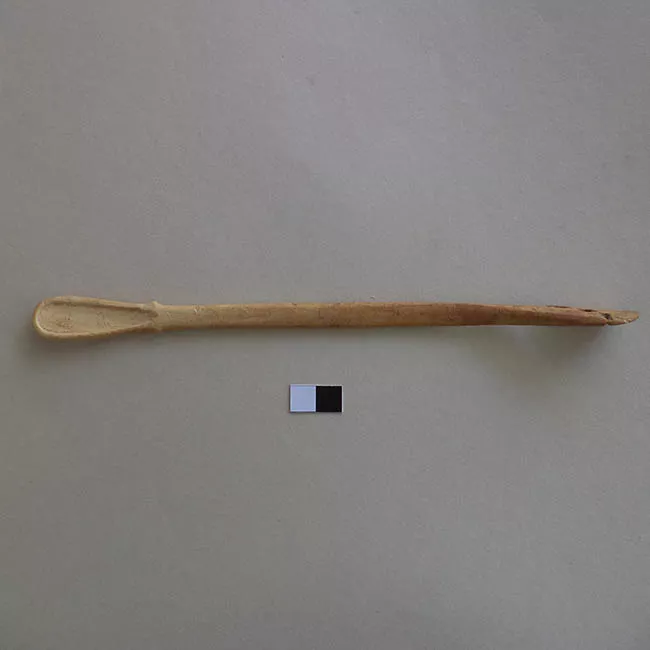 Cucharilla