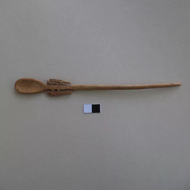 Cucharilla