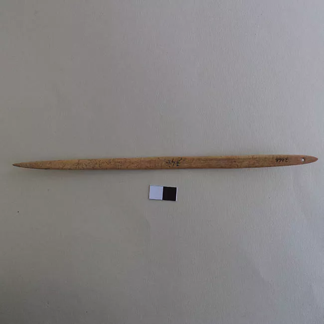 Aguja (arqueológico y etnográfico)