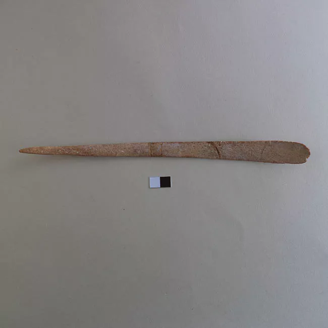 Espátula