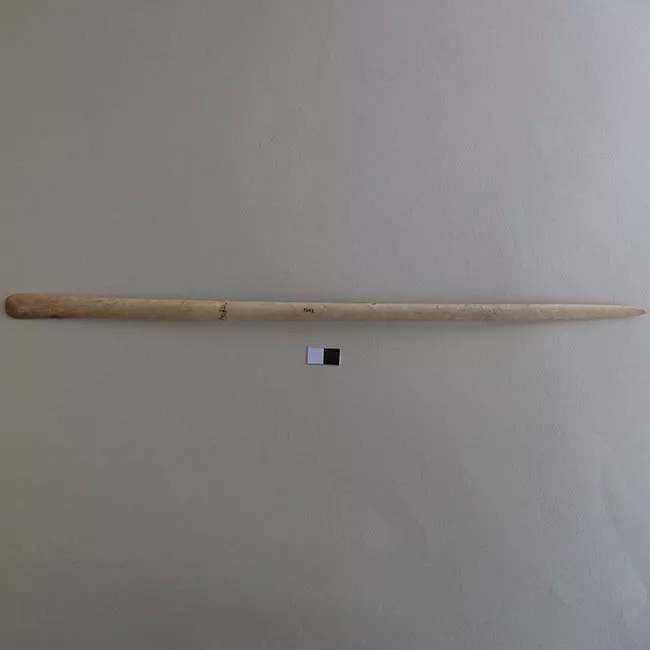Espátula