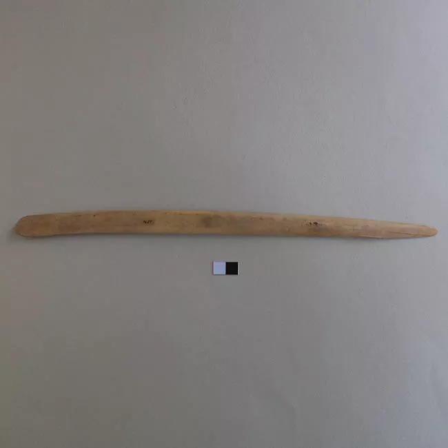 Espátula