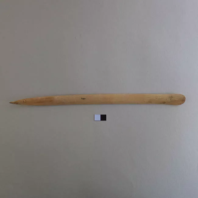 Espátula