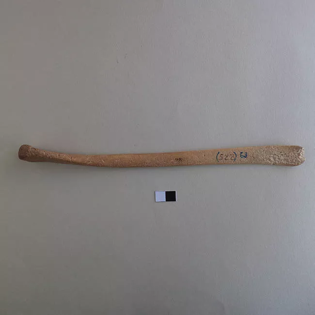 Espátula
