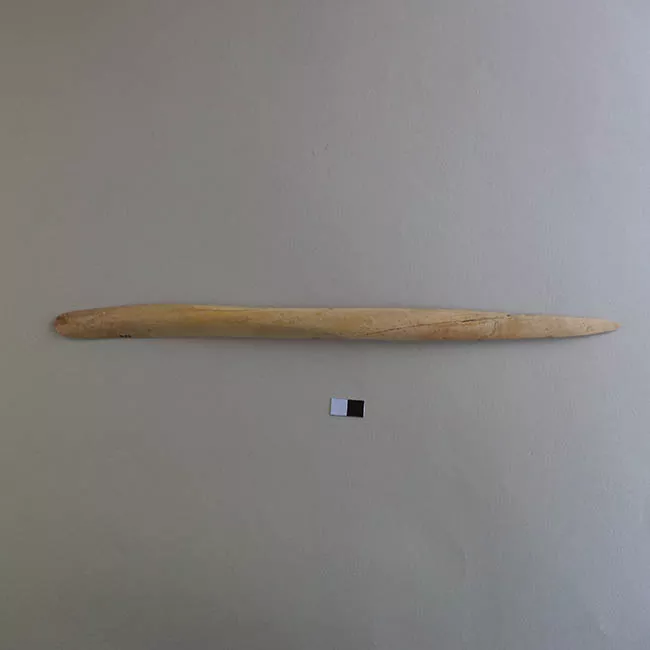 Espátula