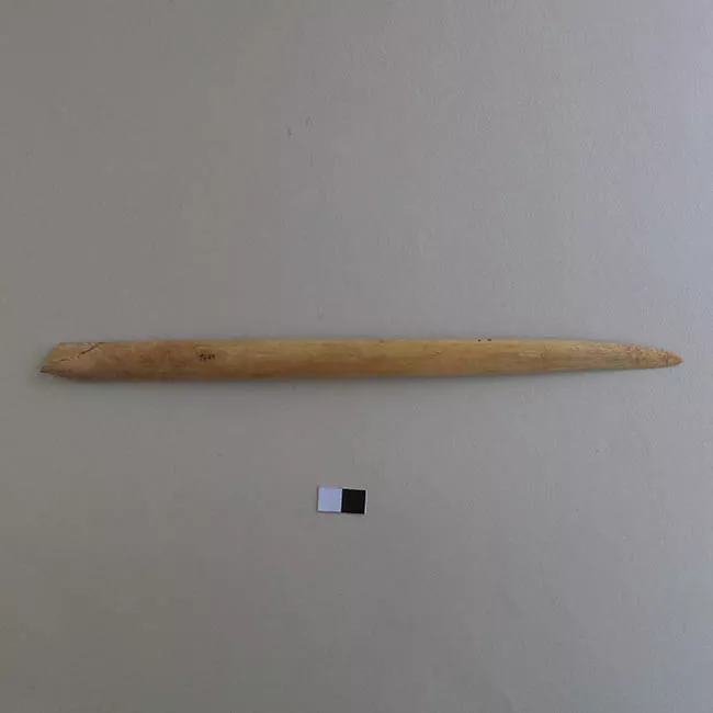 Espátula