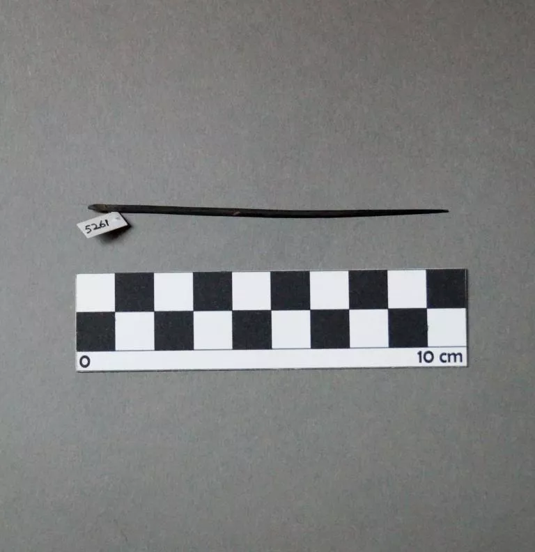 Aguja (arqueológico y etnográfico)