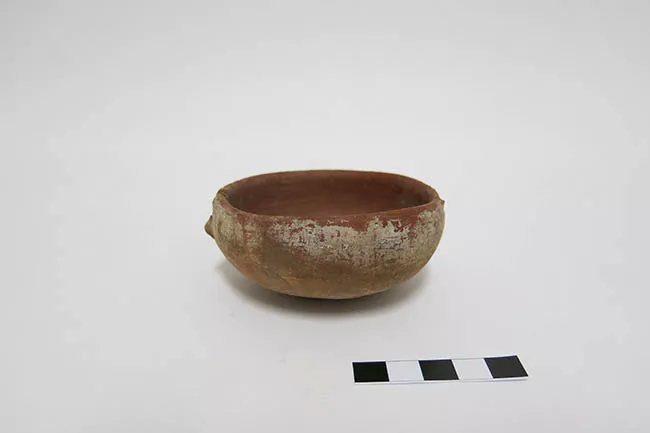 Escudilla