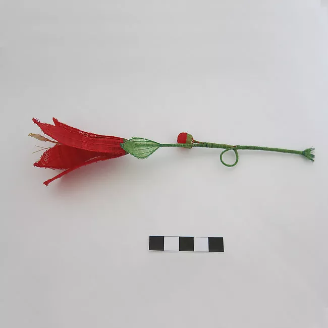 Flor de copihue