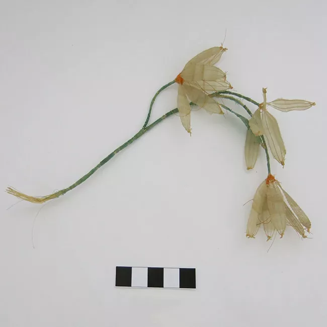 Figurilla