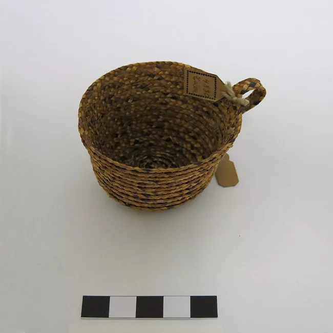 Taza