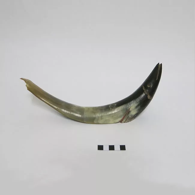 Figura (representación)