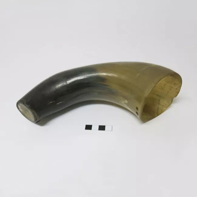 Cacho (contenedor)