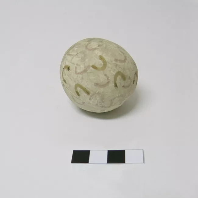 Bola