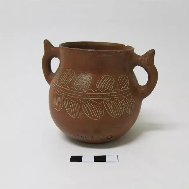 Olla