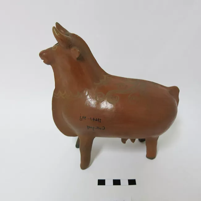 Toro