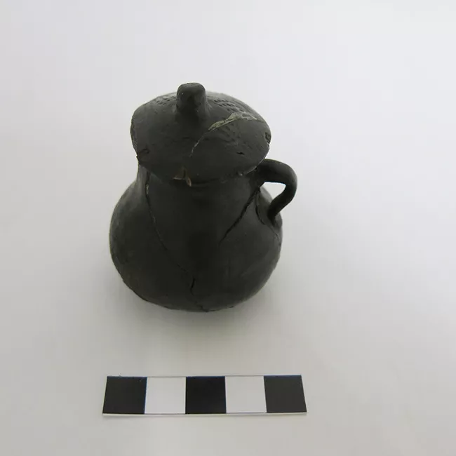 Taza
