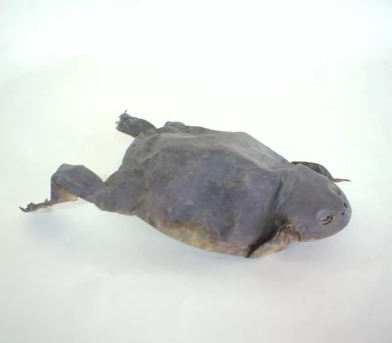Figurilla