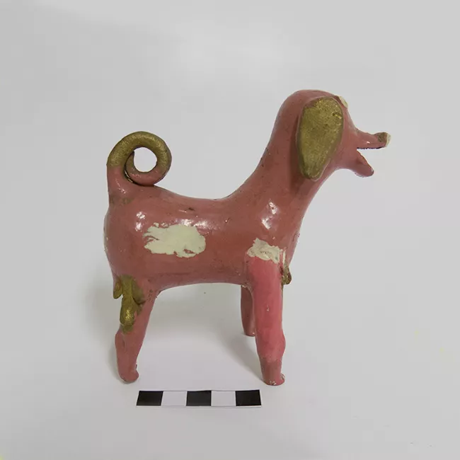Perro