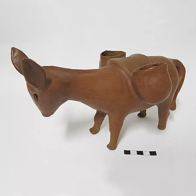 Animal de cargar, asno.