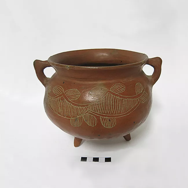 Olla