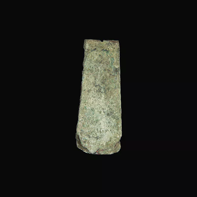 Pinza