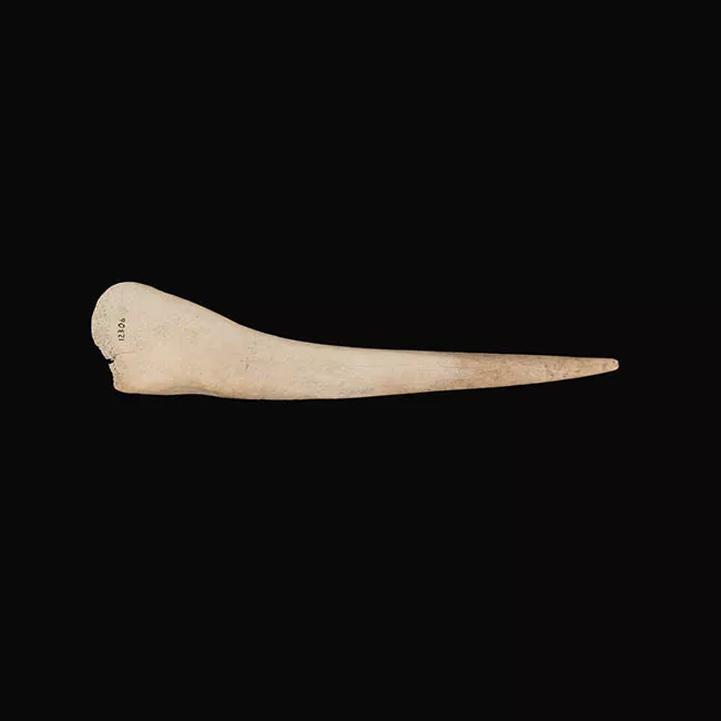 Punzón (arqueológico)