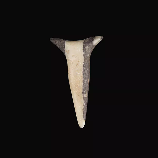 Tembetá