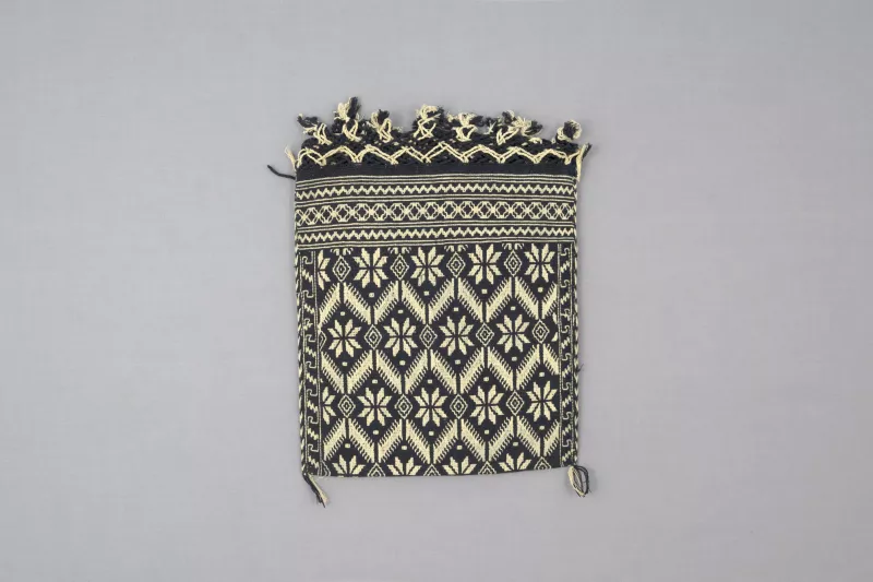 Bolsa (contenedor)