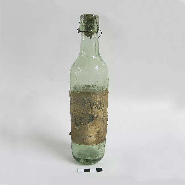 Sidra de Papaya