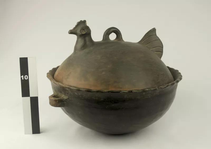 Olla