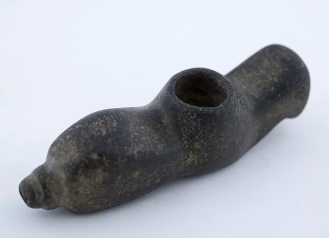 Kitra (mapuche)