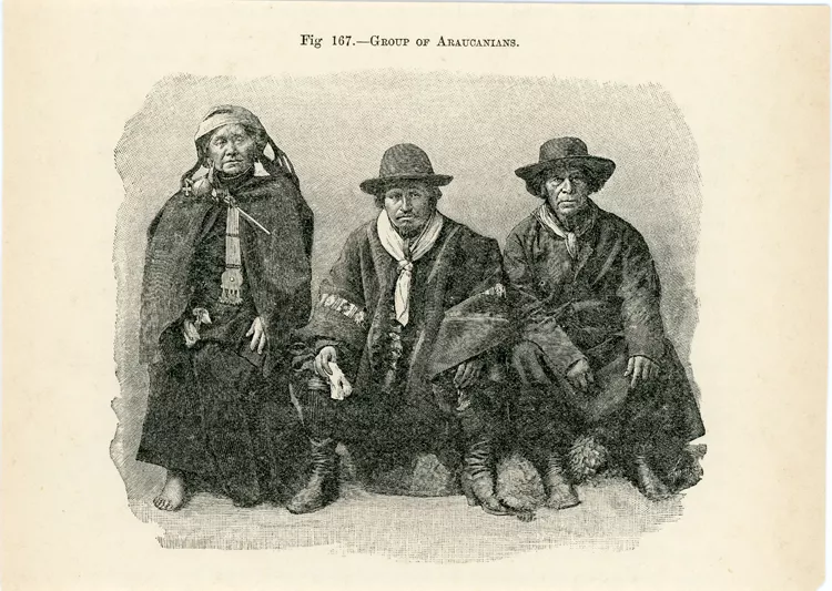 Group of Araucanians