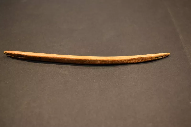 Aguja (arqueológico y etnográfico)