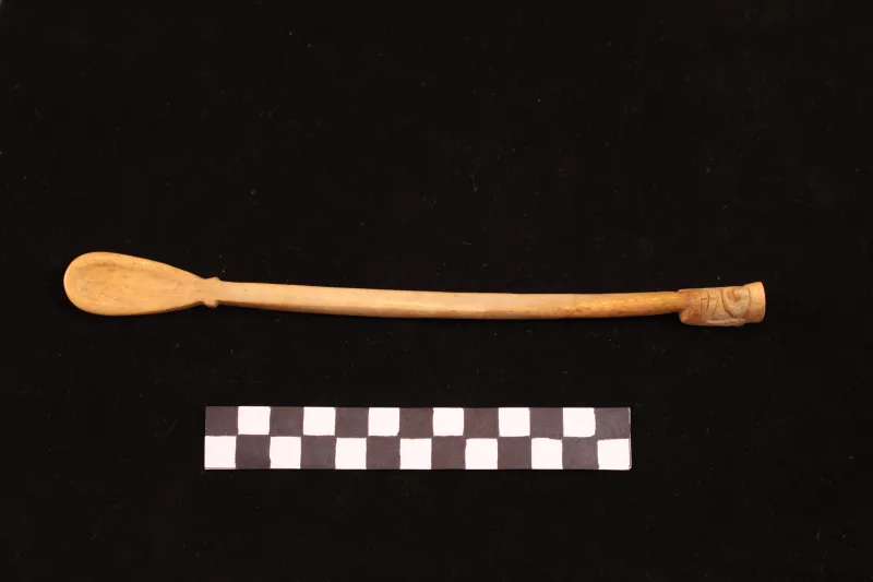 Espátula