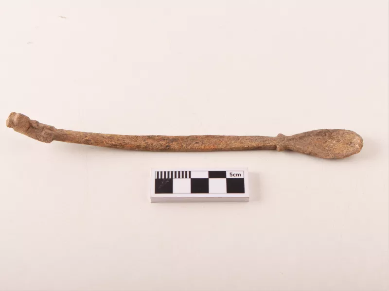 Espátula (uso personal)