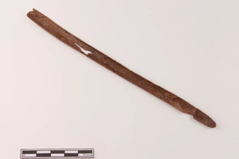 Espátula