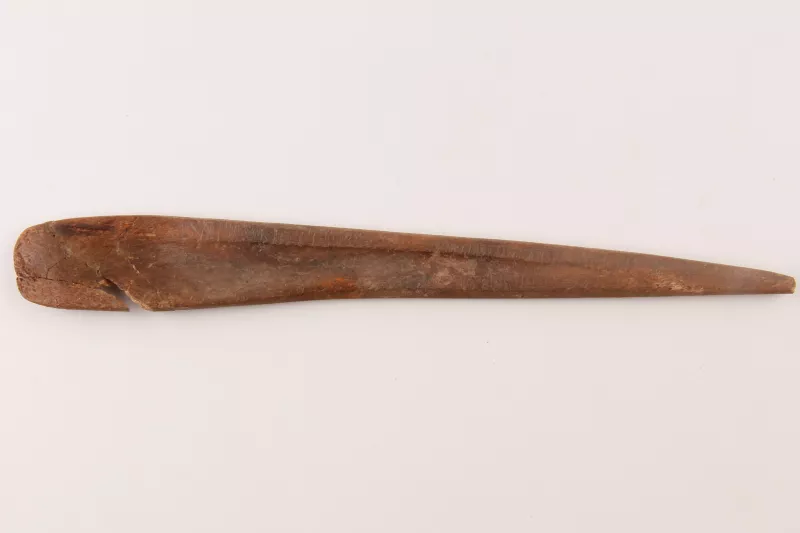 Espátula