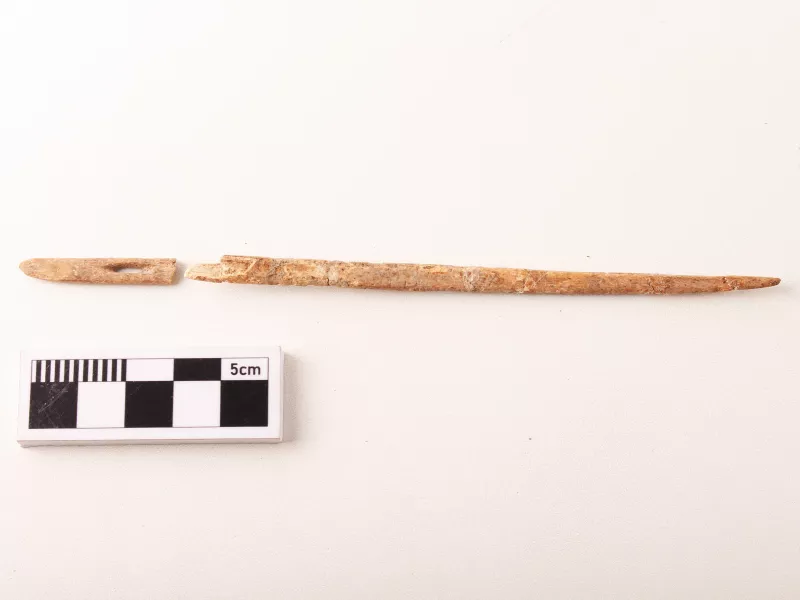 Aguja (arqueológico y etnográfico)