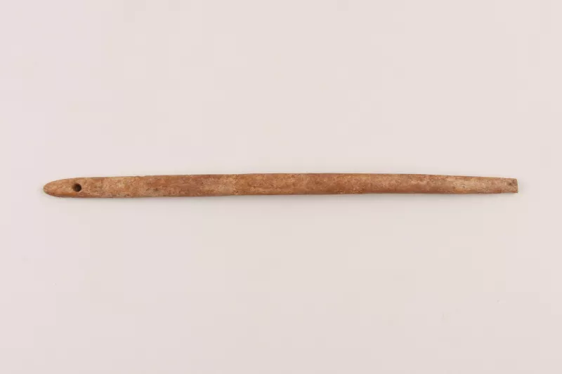 Aguja (arqueológico y etnográfico)