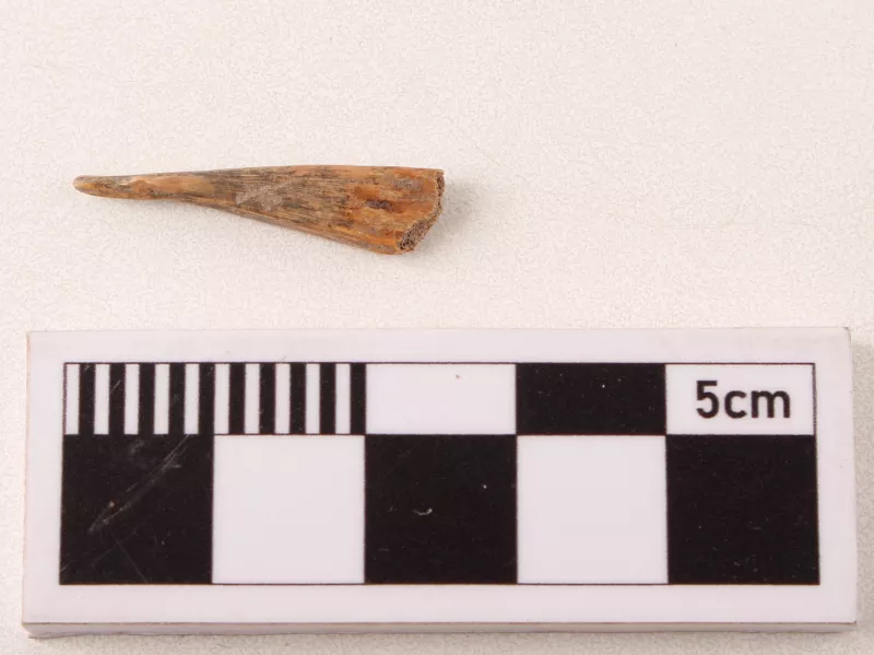 Perforador (herramienta)