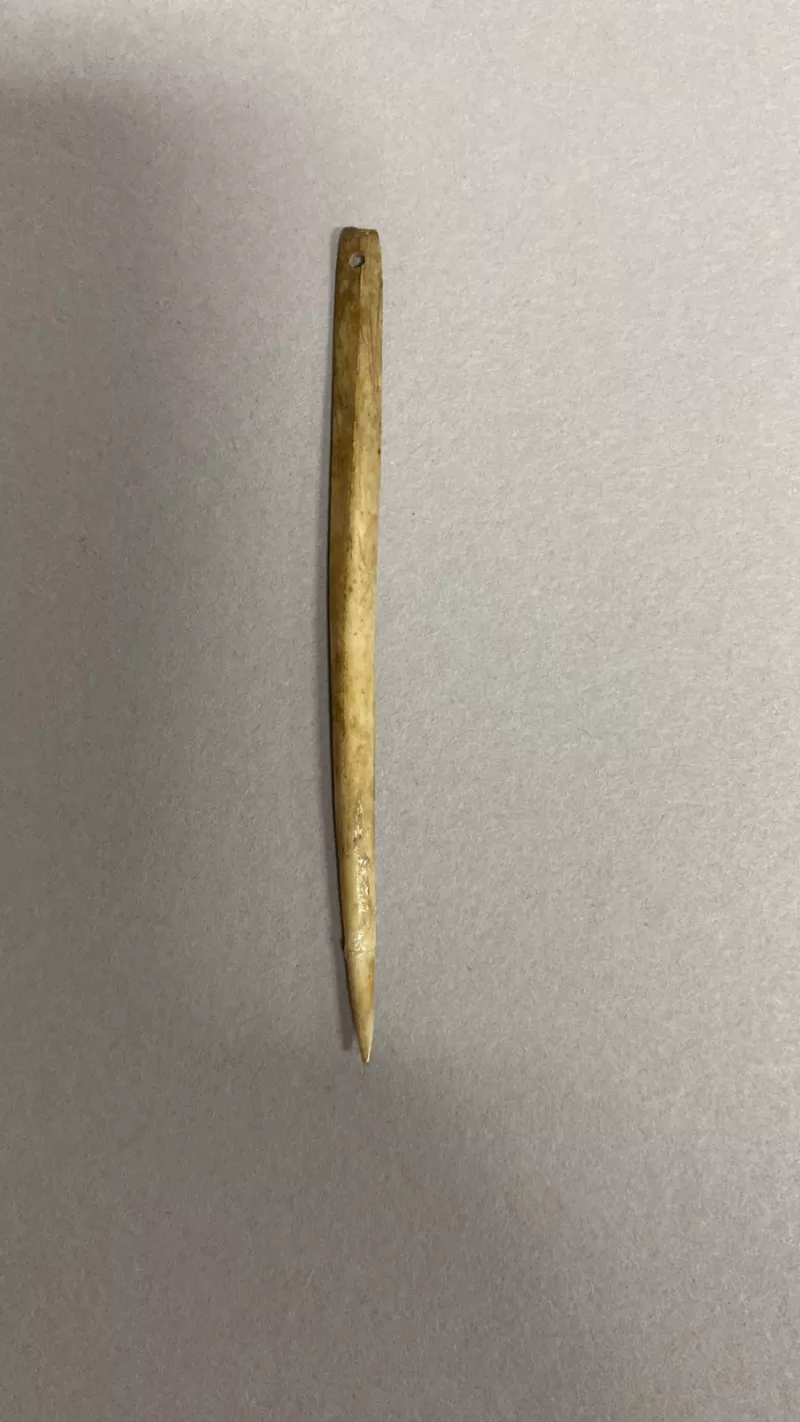 Aguja (arqueológico y etnográfico)