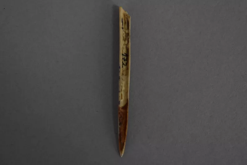 Aguja (arqueológico y etnográfico)