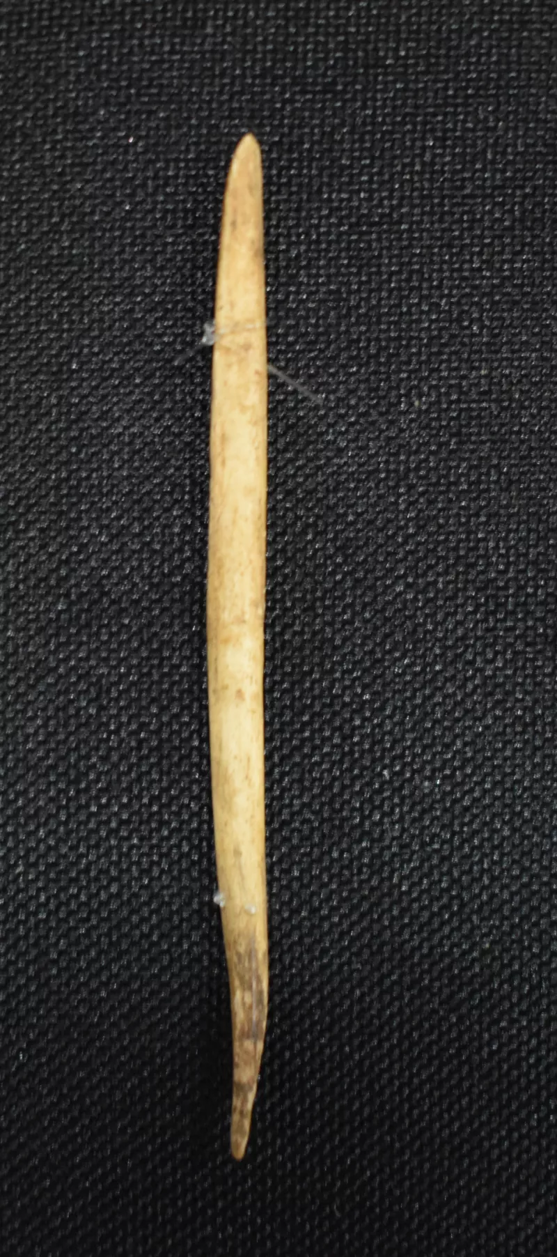 Aguja (arqueológico y etnográfico)