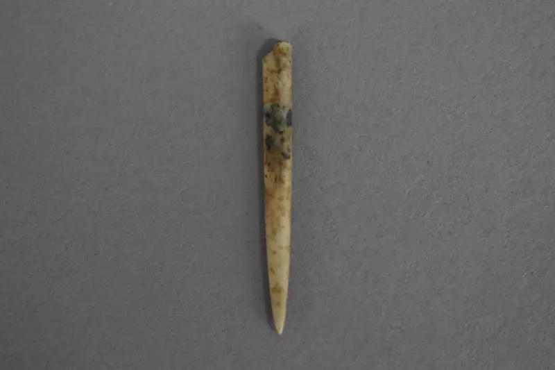 Aguja (arqueológico y etnográfico)