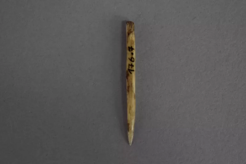 Aguja (arqueológico y etnográfico)