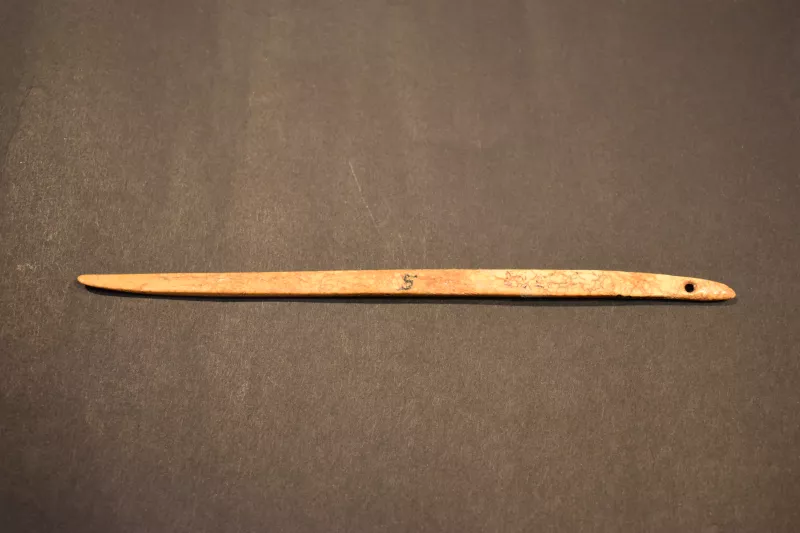 Aguja (arqueológico y etnográfico)