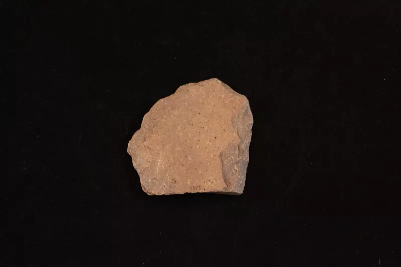Pala