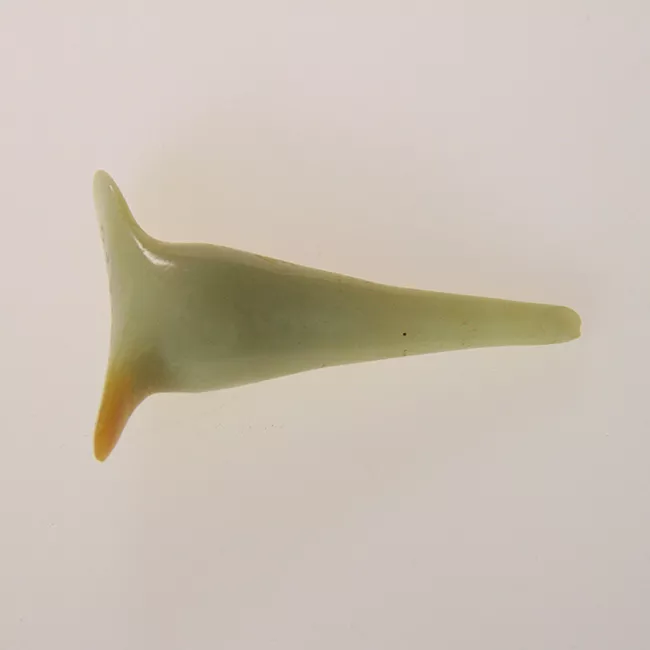 Tembetá