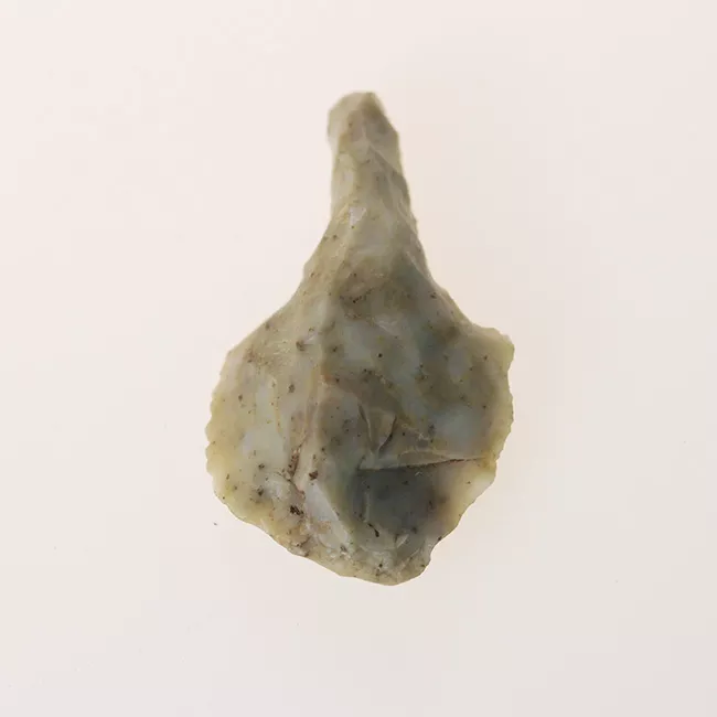 Perforador